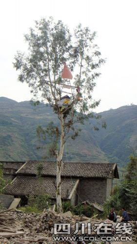 老人树居3月抗强拆被诉聚众扰乱交通秩序罪