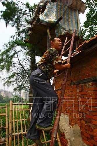 ũ���������ں��˰���ǿ��� �ԳƷǶ��ӻ�(ͼ)